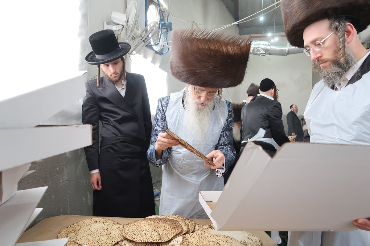 מראות ערב חג פסח בחצה"ק מעליץ