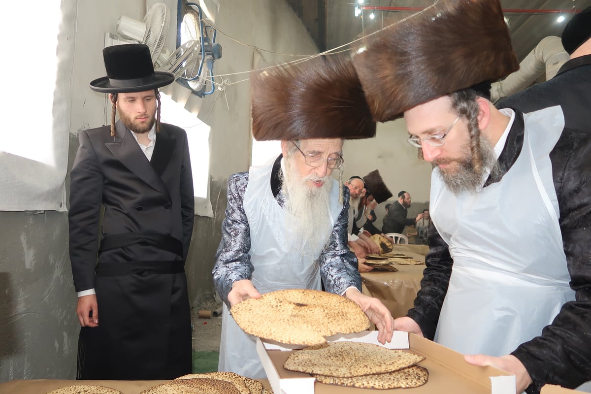 מראות ערב חג פסח בחצה"ק מעליץ