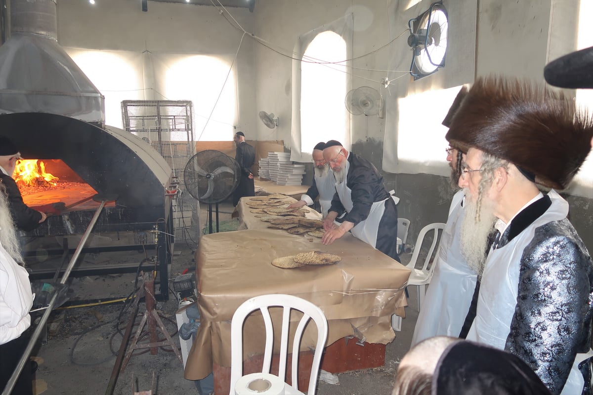 מראות ערב חג פסח בחצה"ק מעליץ