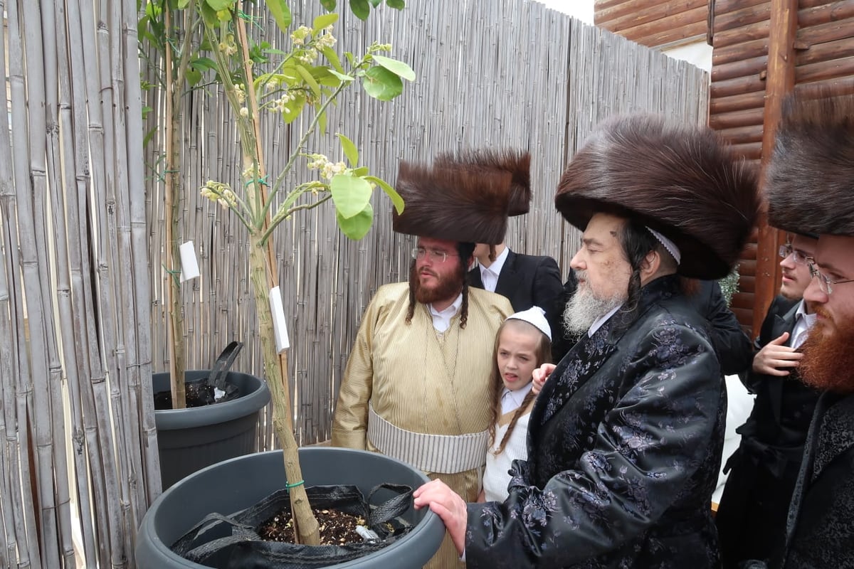 הגרי"מ שעכטער והאדמו"ר מפינסק קארלין בחוה"מ פסח