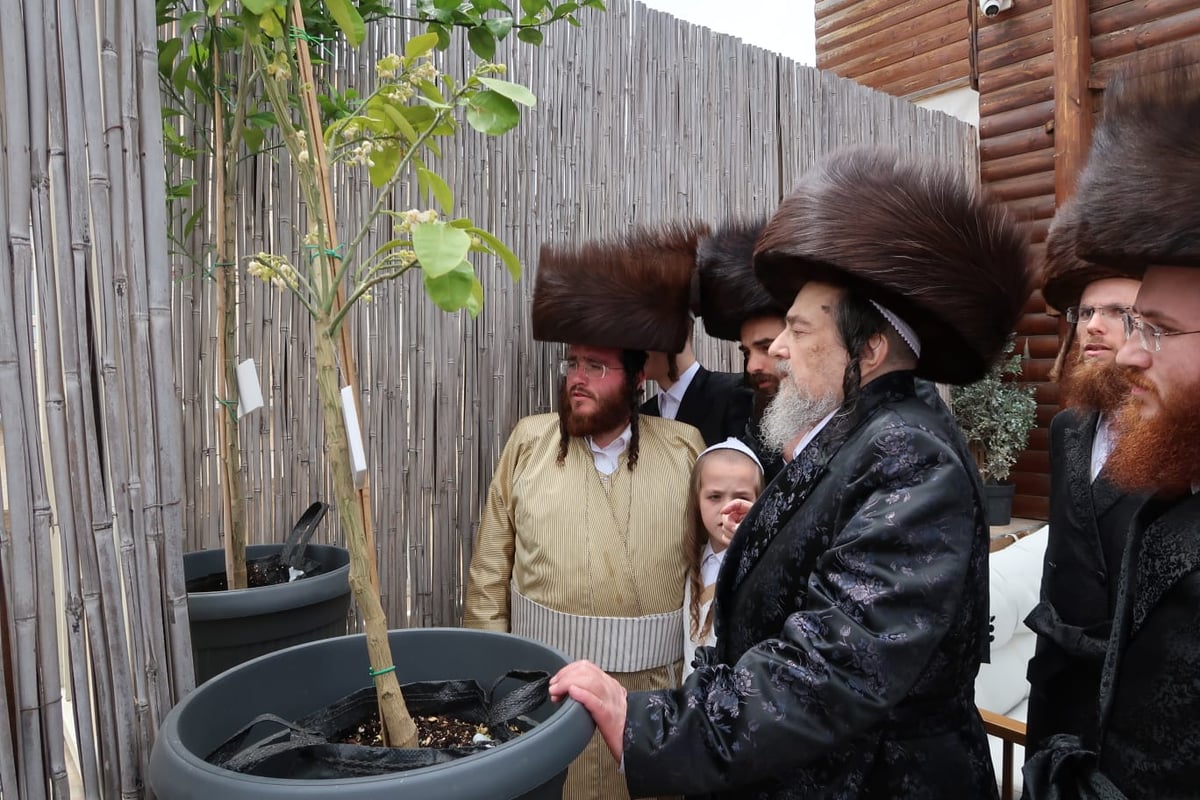 הגרי"מ שעכטער והאדמו"ר מפינסק קארלין בחוה"מ פסח