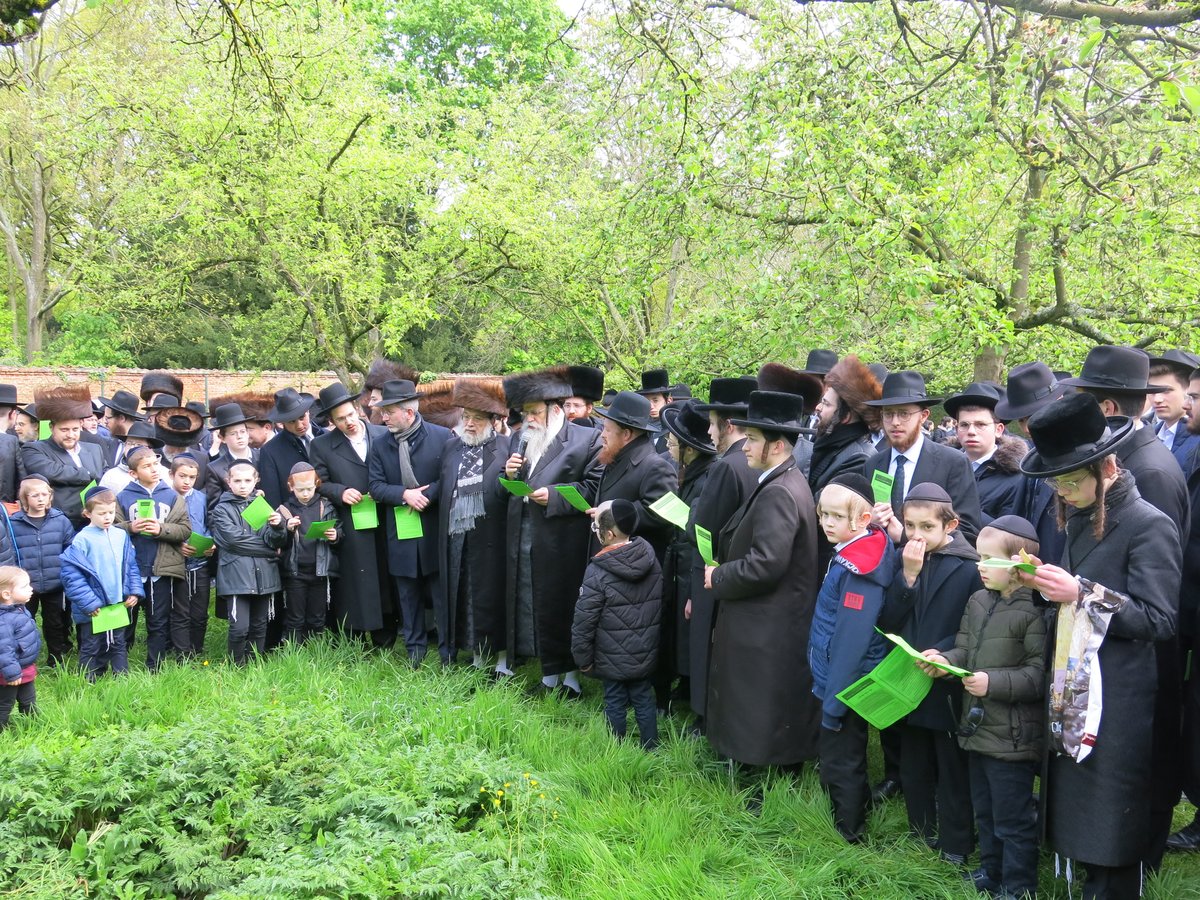 ברכת האילנות באנטווערפן 