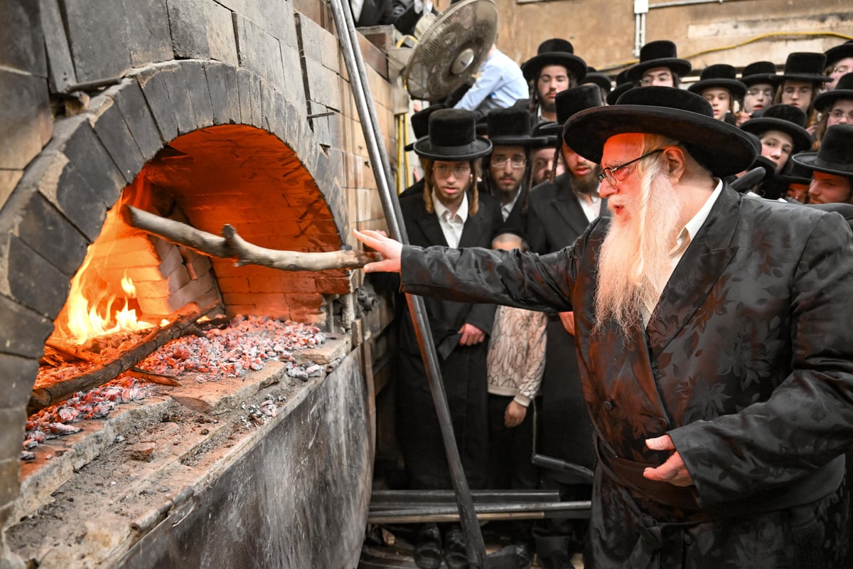 חג הפסח בחצה"ק צאנז