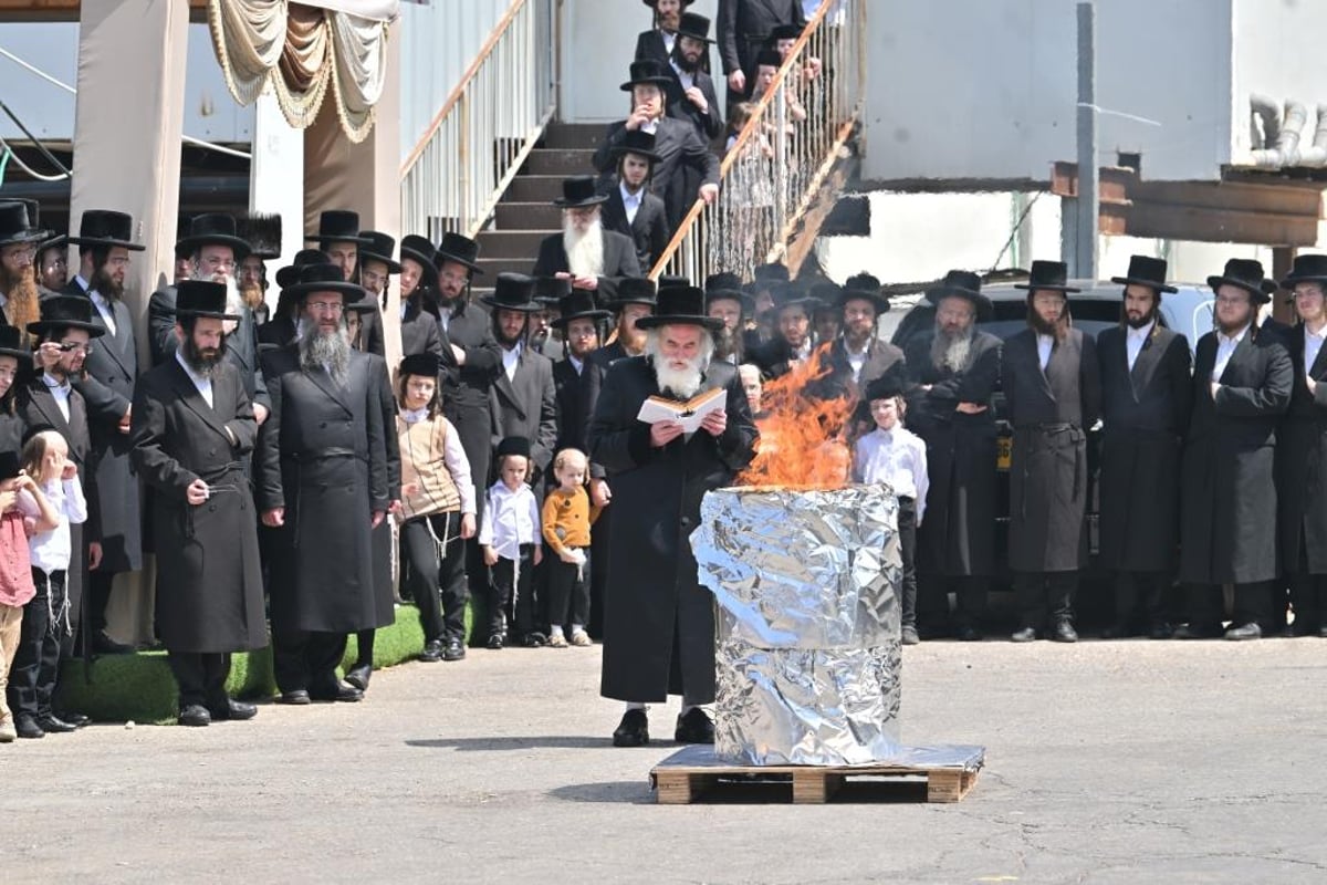 פסח בחצה"ק ויזניץ