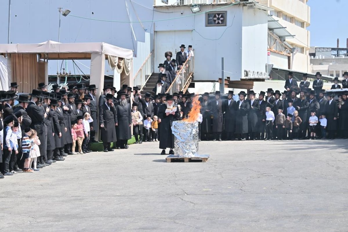 פסח בחצה"ק ויזניץ