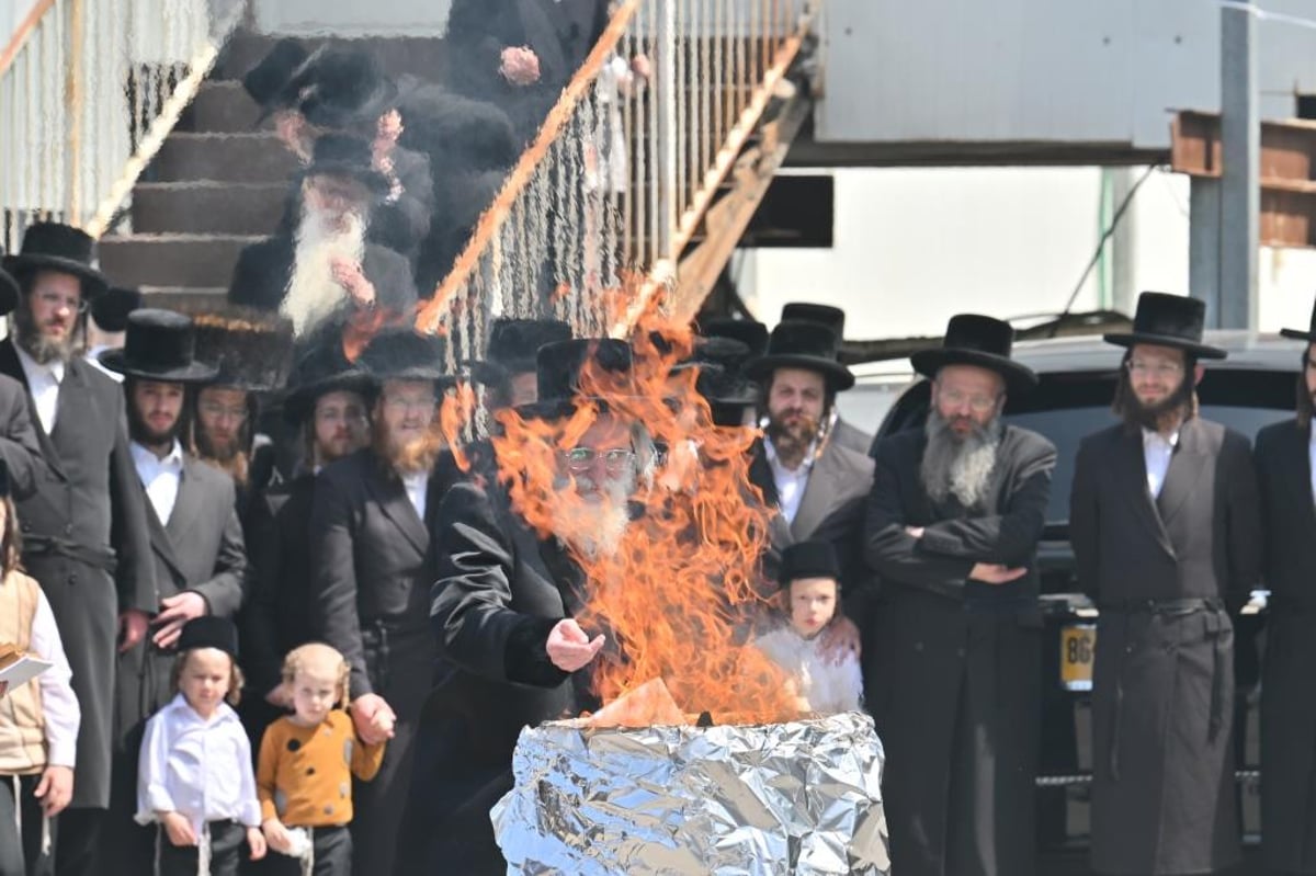 פסח בחצה"ק ויזניץ