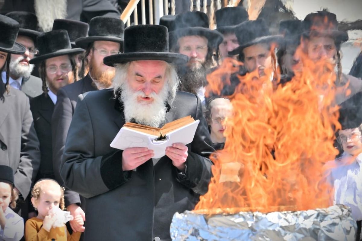 פסח בחצה"ק ויזניץ