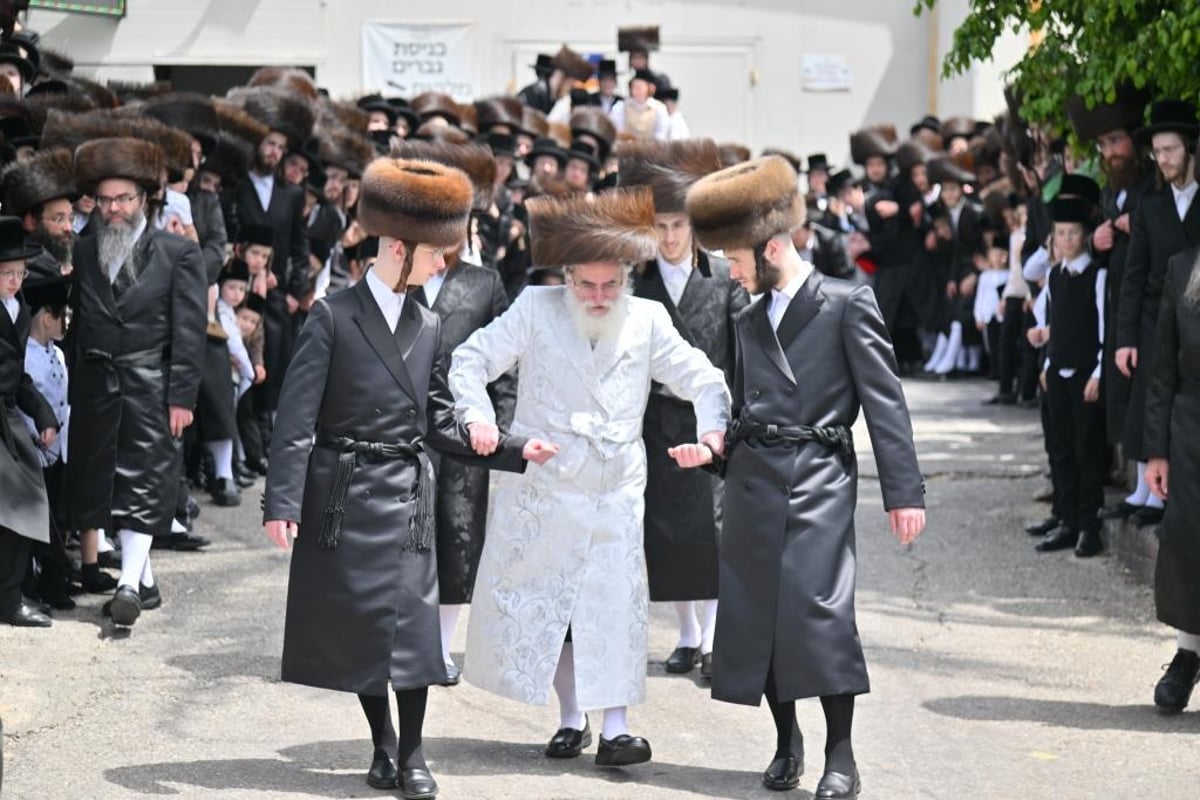 פסח בחצה"ק ויזניץ