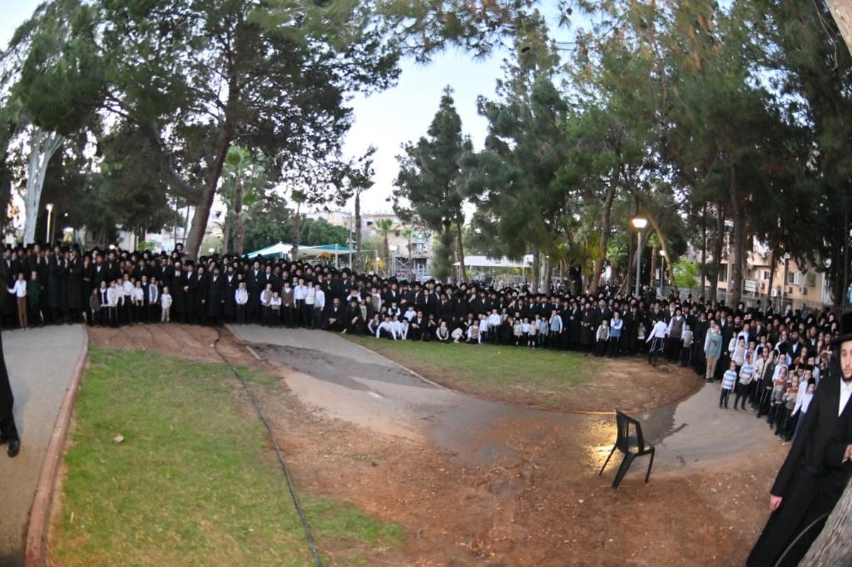 פסח בחצה"ק ויזניץ