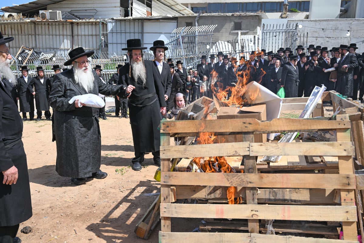 חג הפסח בחצה"ק צאנז