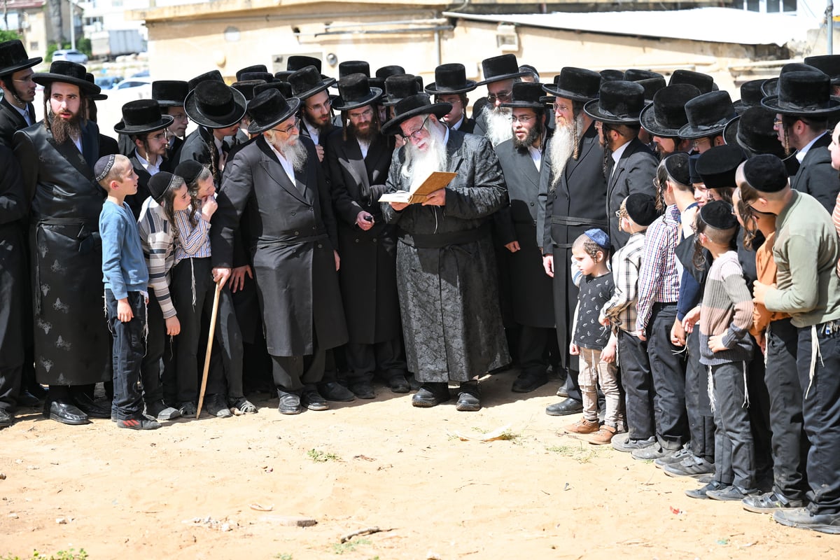 חג הפסח בחצה"ק צאנז