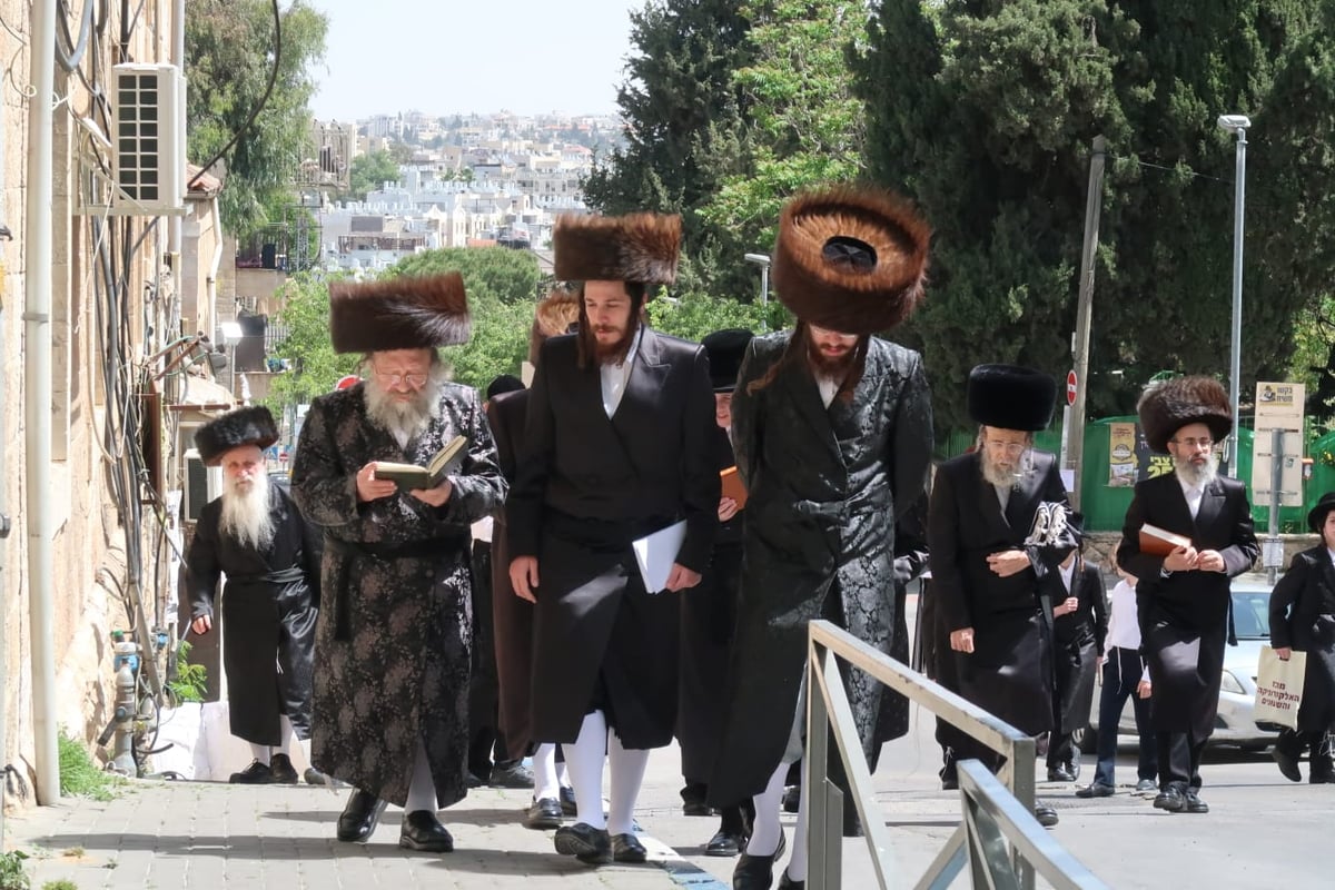 ברכת האילנות נדבורנה באניא