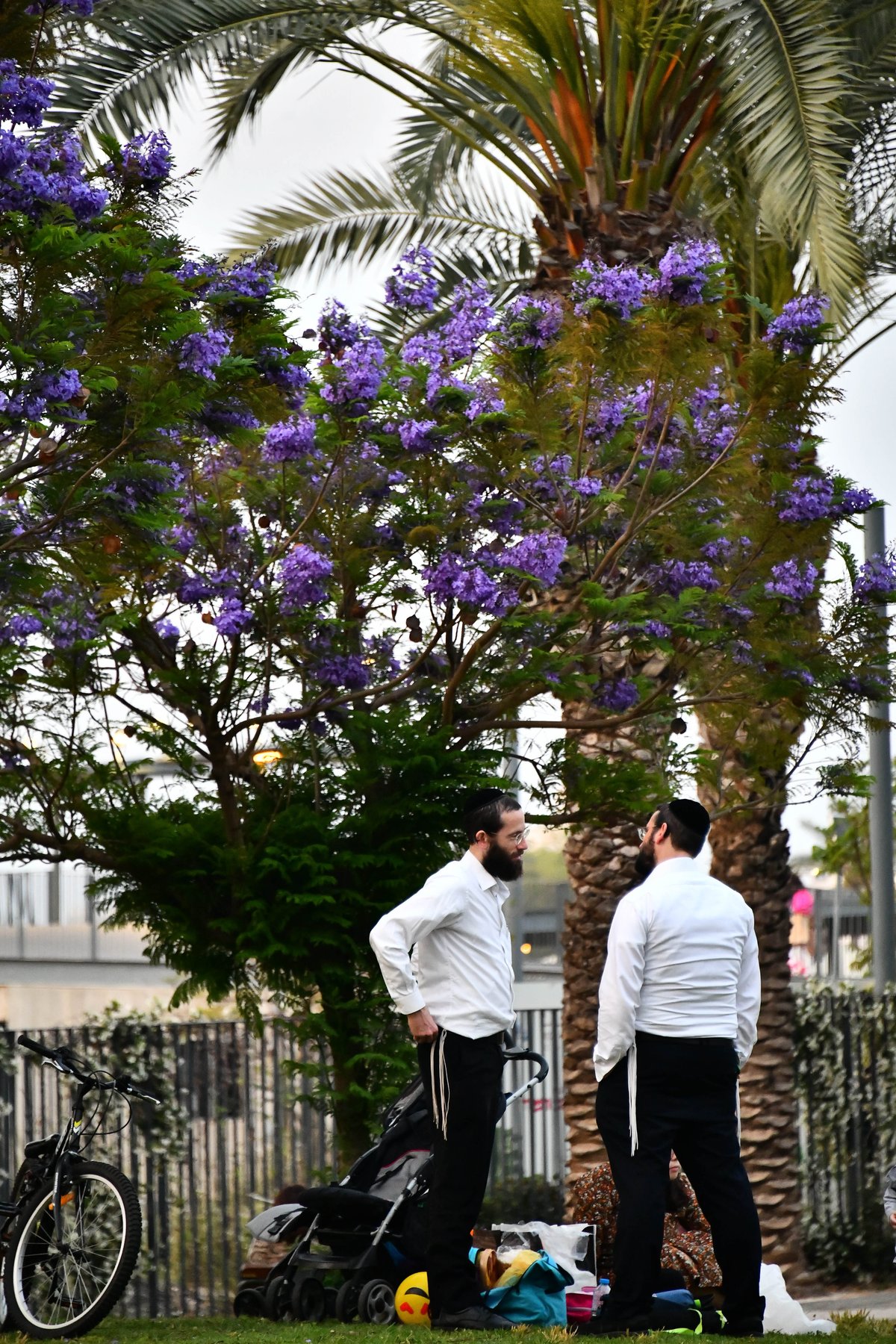 בין הזמנים בפארק בלינסון בפ"ת