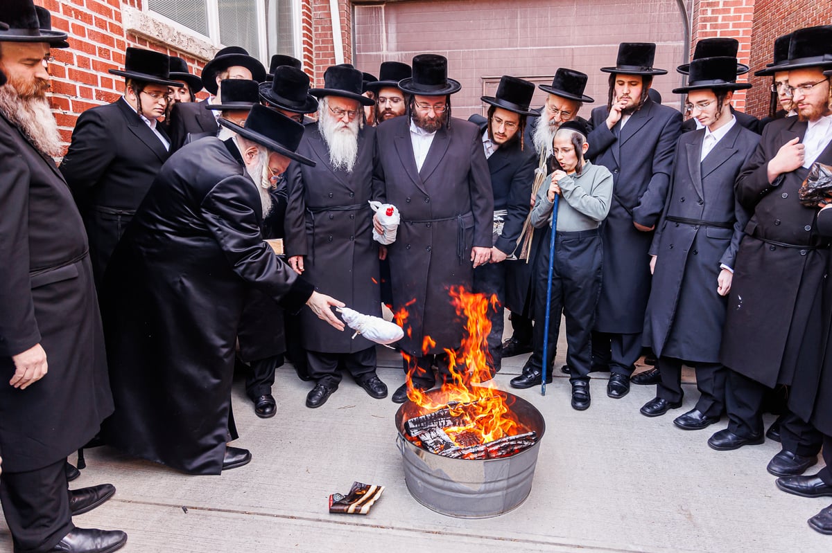 חג הפסח בחצה"ק באבוב