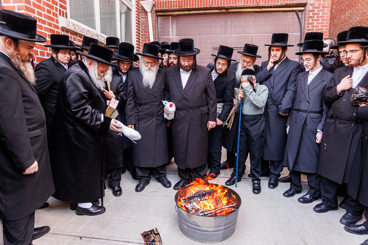 חג הפסח בחצה"ק באבוב