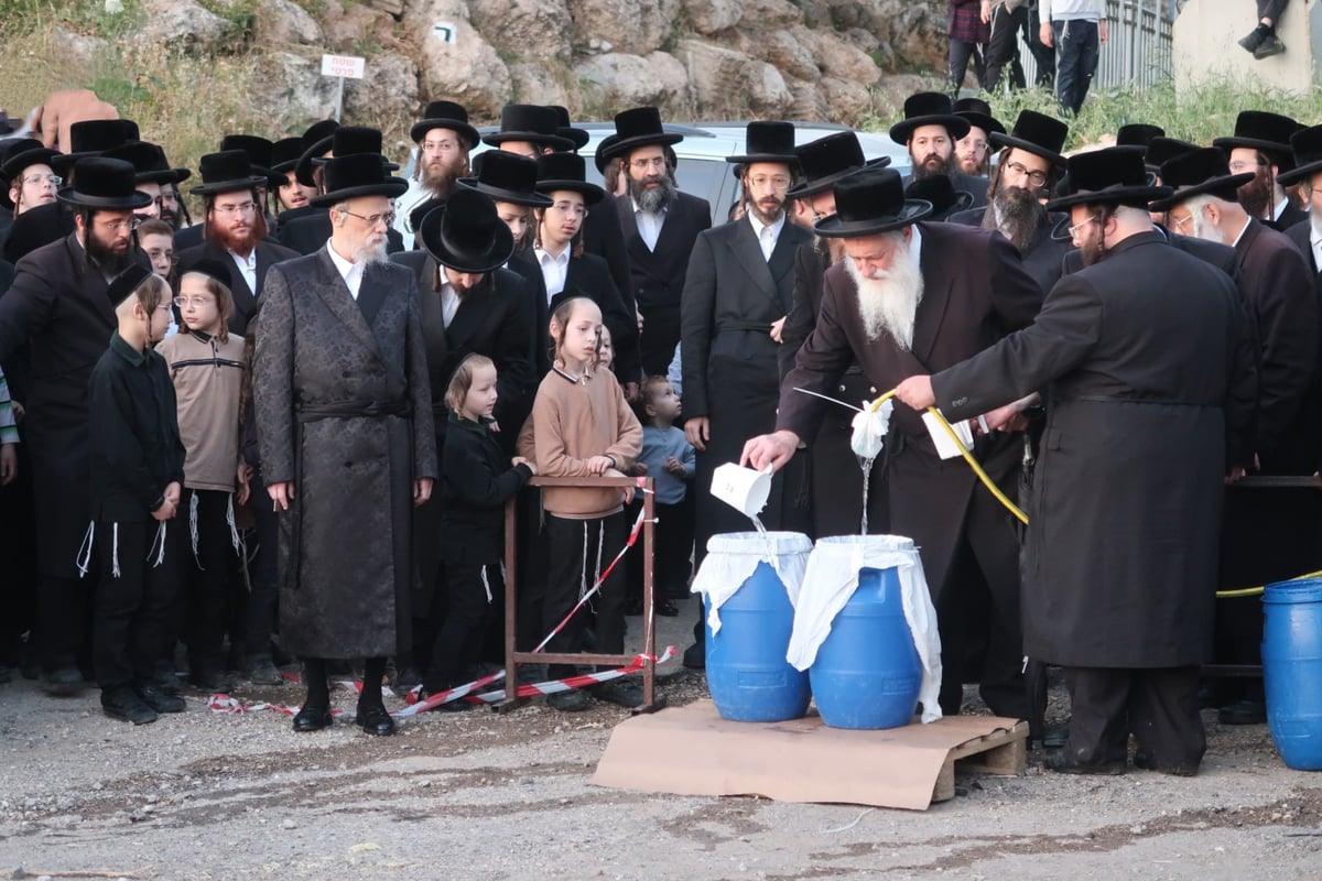 חג הפסח בחצה"ק סערט ויז'ניץ