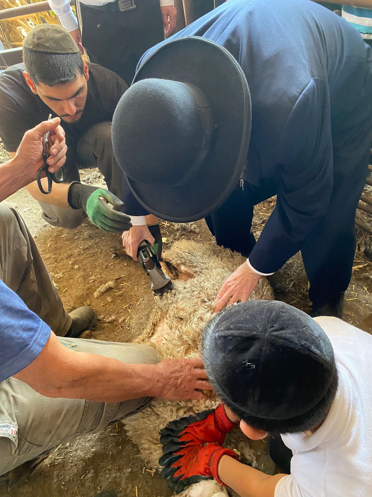 הגר"ד בצרי במצוות 'ראשית הגז'