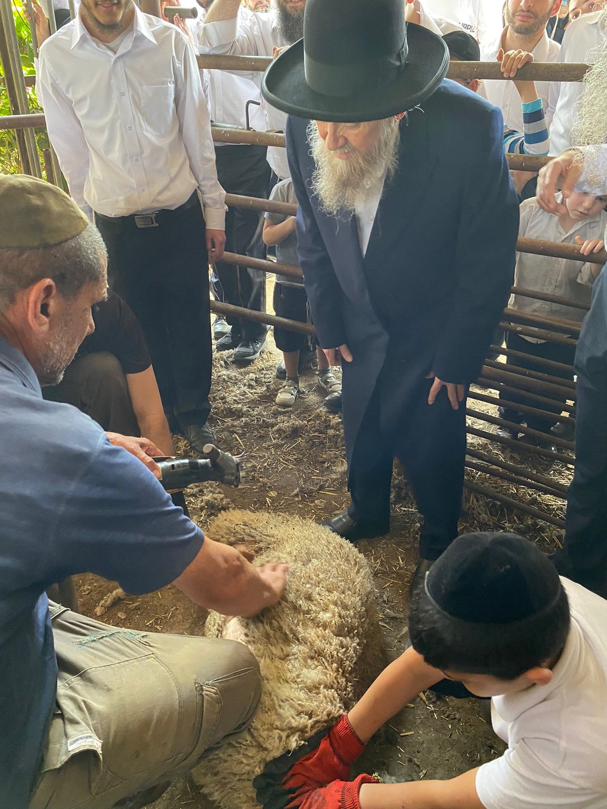 הגר"ד בצרי במצוות 'ראשית הגז'