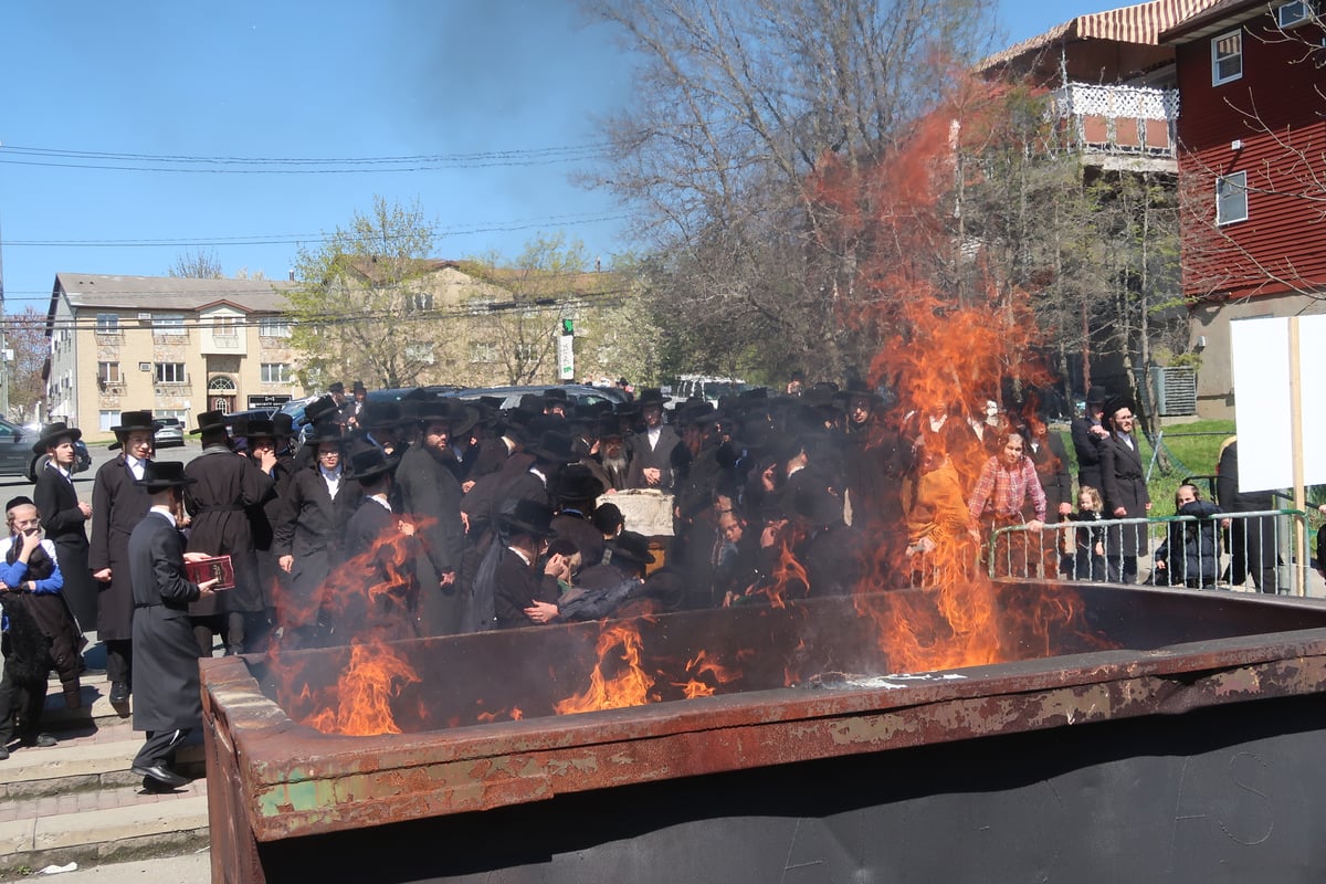 פסח תשפ"ד בחצר חסידות סאטמר