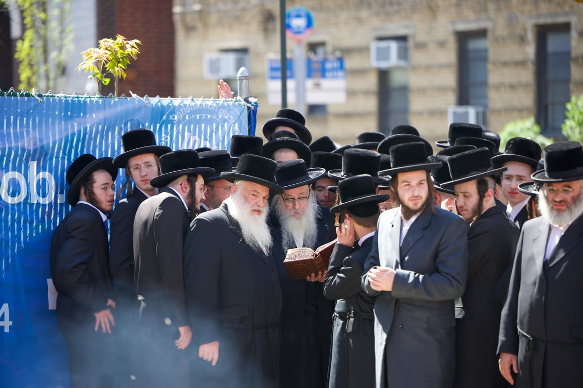 חודש ניסן בחצה"ק צאנז קלויזנבורג