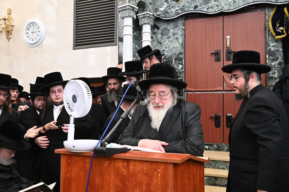 מסע הלוויית בת האדמו"ר מספינקא 