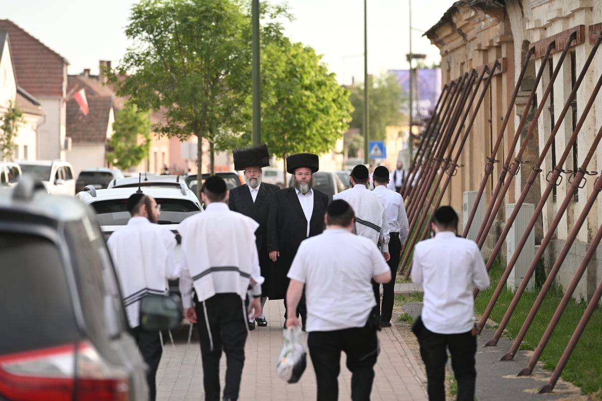 מראות ההילולה בקרעסטיר