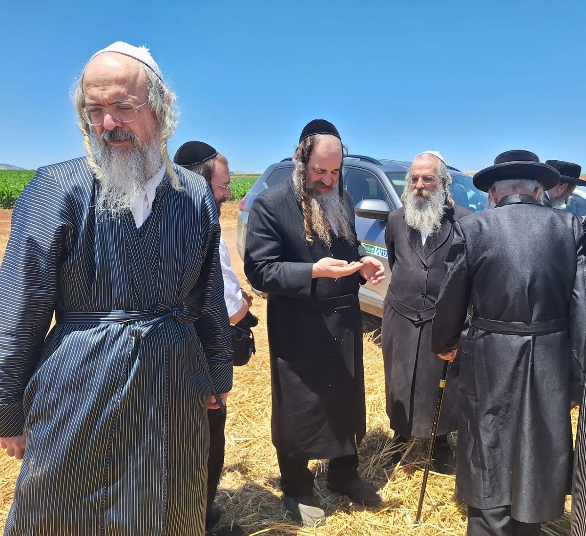 קצירת חיטים תשפ"ד