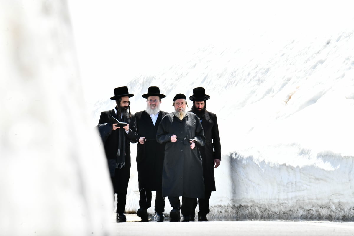 האדמו"ר מרחמסטריווקא בנאות דשא בשווייץ