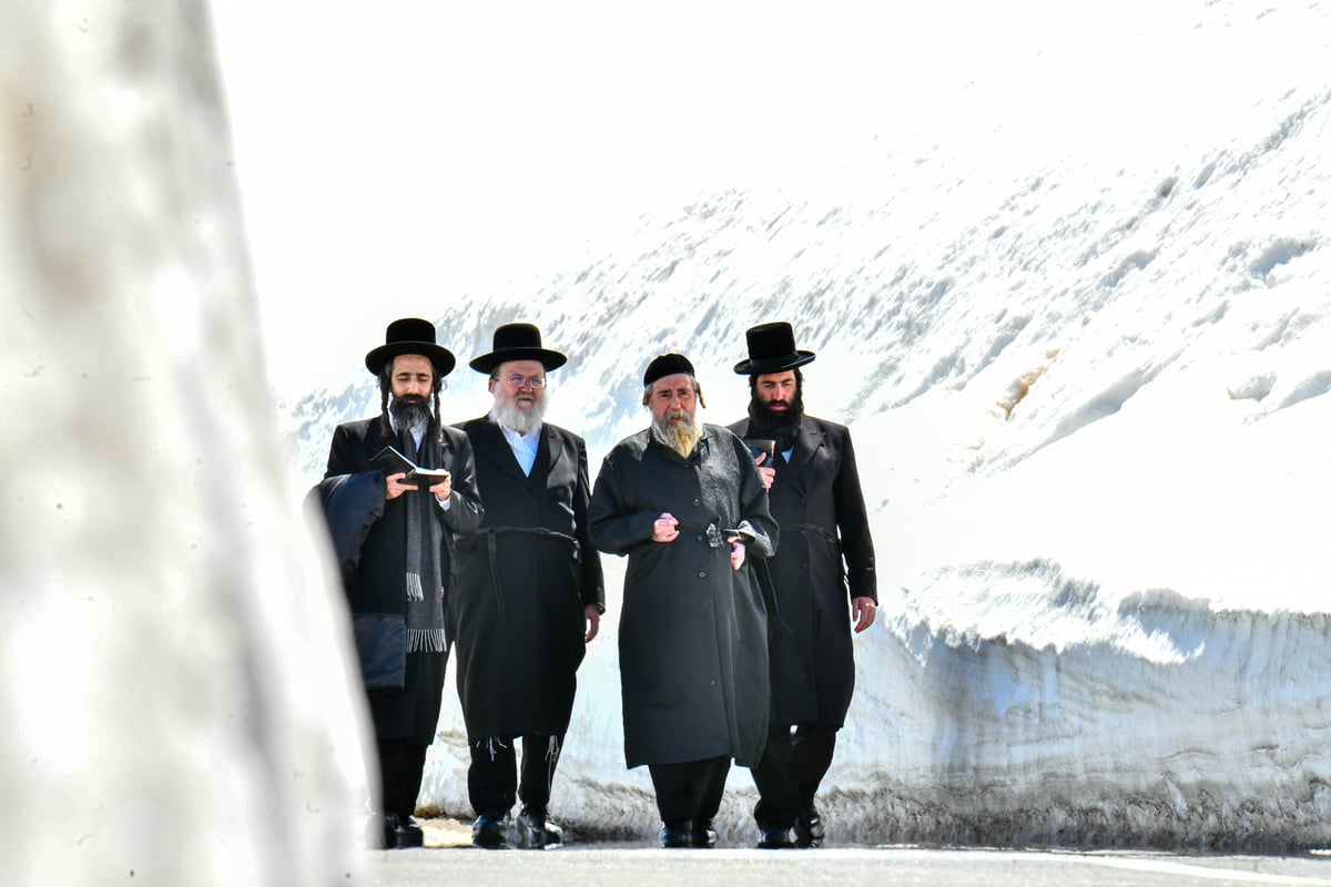 האדמו"ר מרחמסטריווקא בנאות דשא בשווייץ