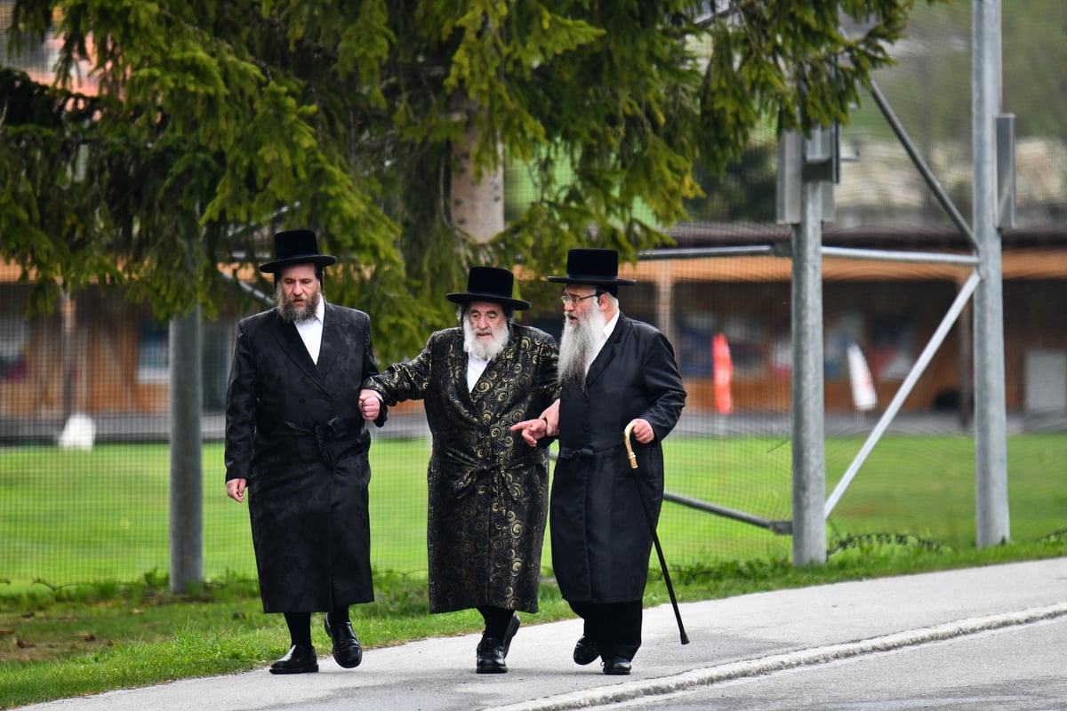 האדמו"ר מויז'ניץ בנאות דשא בשווייץ