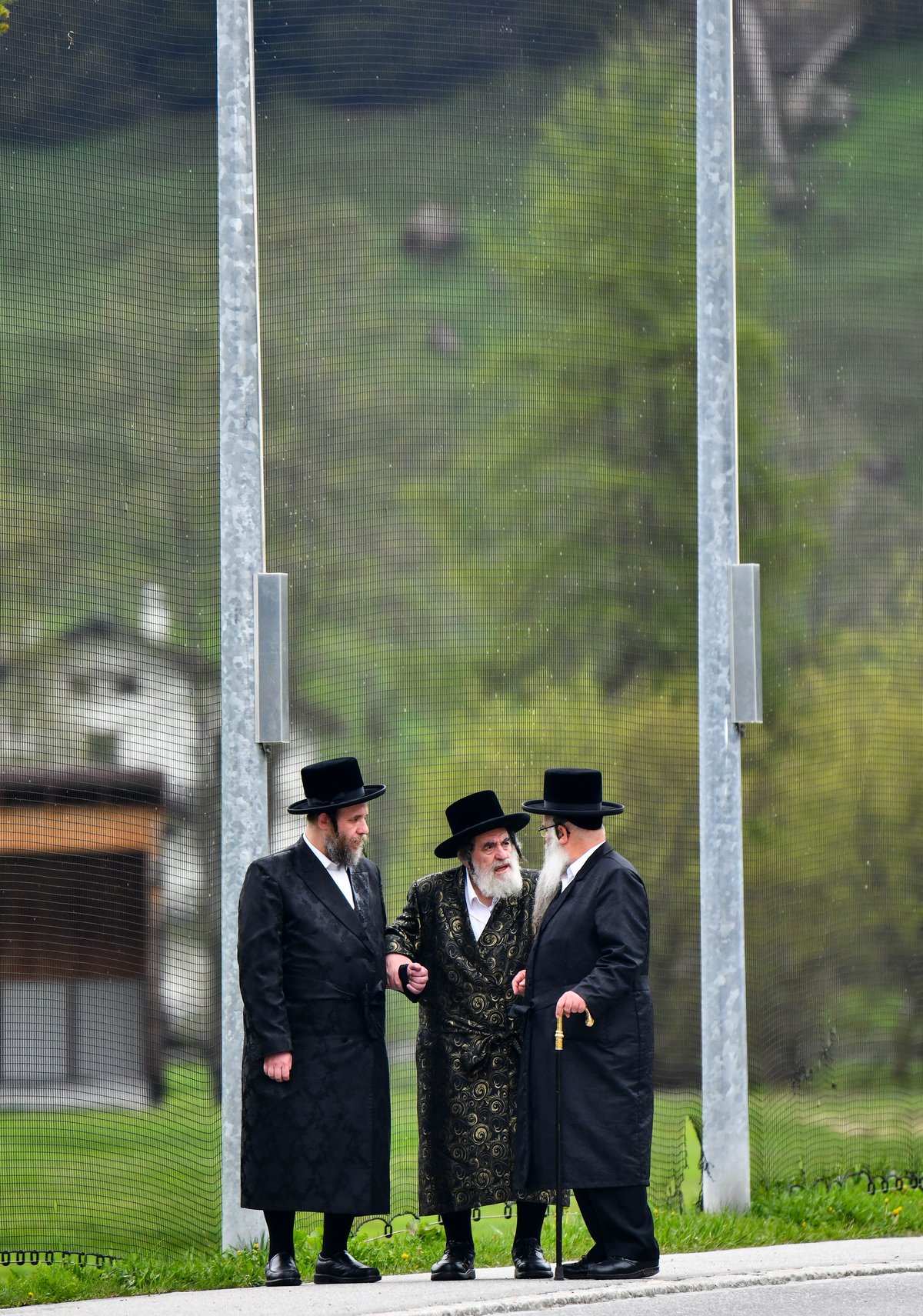 האדמו"ר מויז'ניץ בנאות דשא בשווייץ