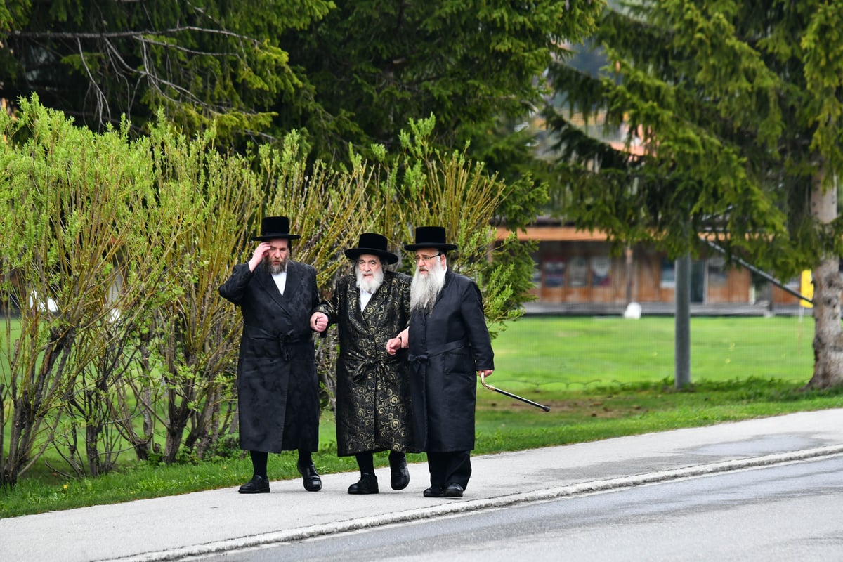 האדמו"ר מויז'ניץ בנאות דשא בשווייץ