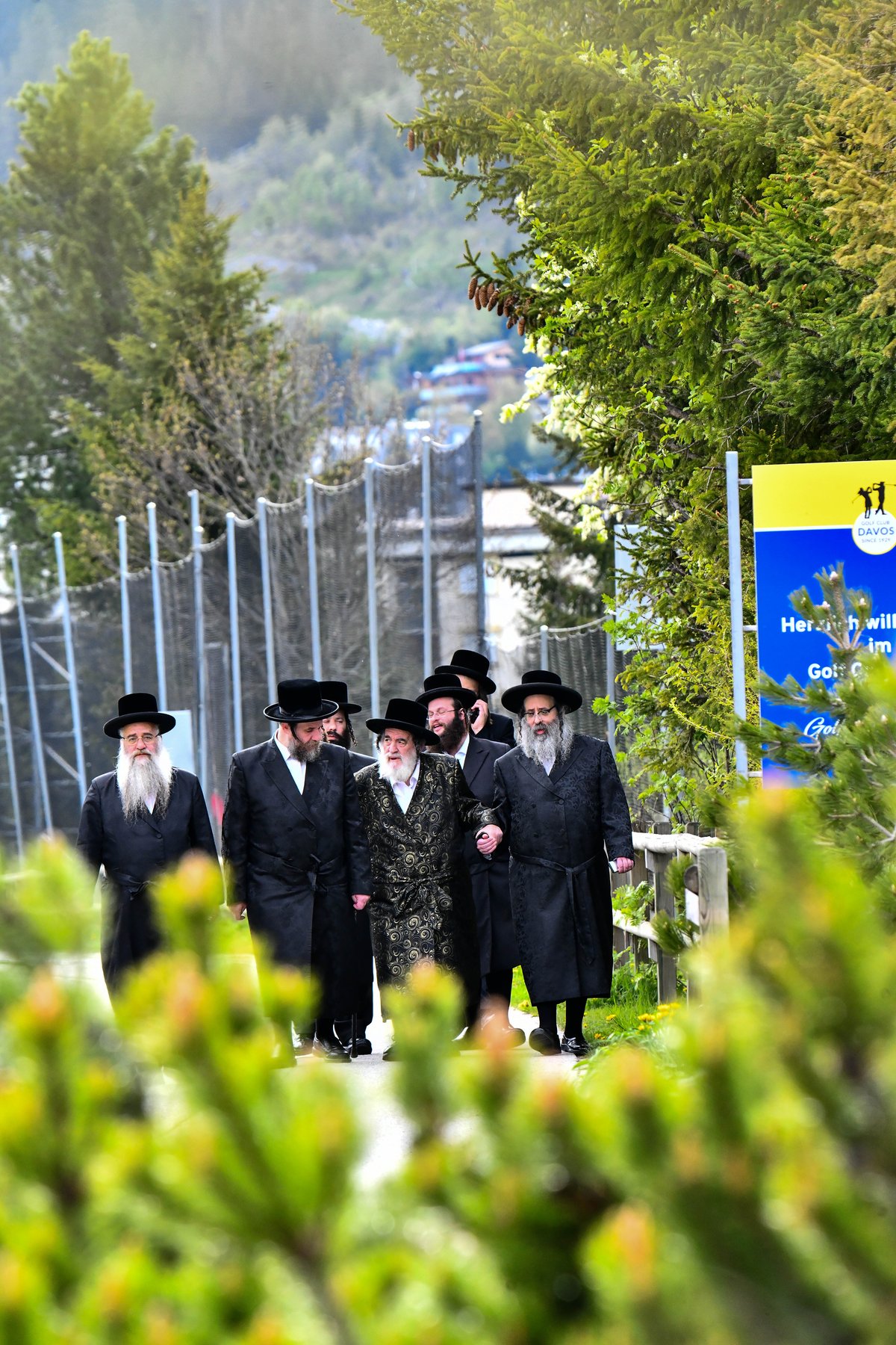 האדמו"ר מויז'ניץ בנאות דשא בשווייץ