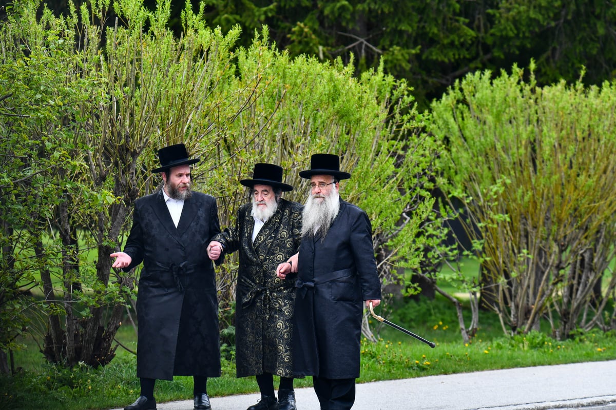 האדמו"ר מויז'ניץ בנאות דשא בשווייץ