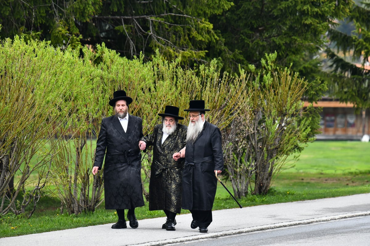 האדמו"ר מויז'ניץ בנאות דשא בשווייץ