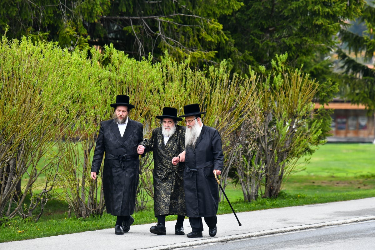 האדמו"ר מויז'ניץ בנאות דשא בשווייץ