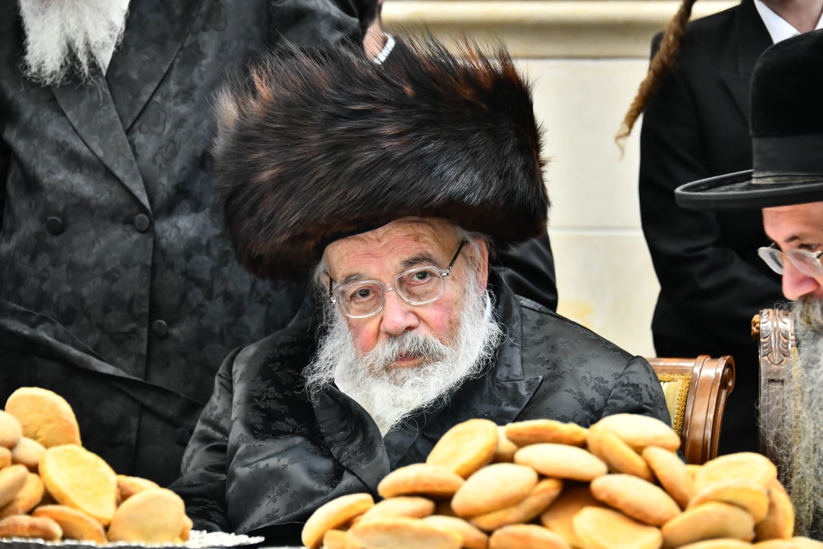 שמחת הברית בחצרות פרמישלאן - אמשינוב 