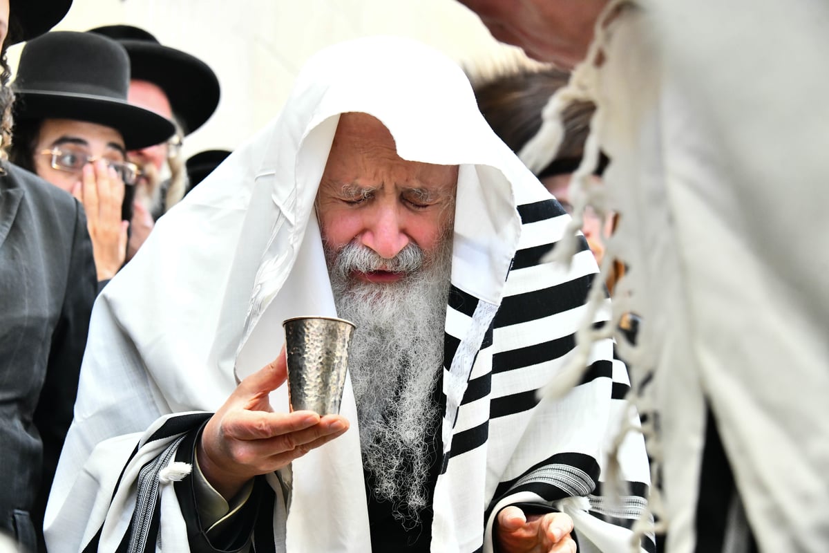 שמחת הברית בחצרות פרמישלאן - אמשינוב 