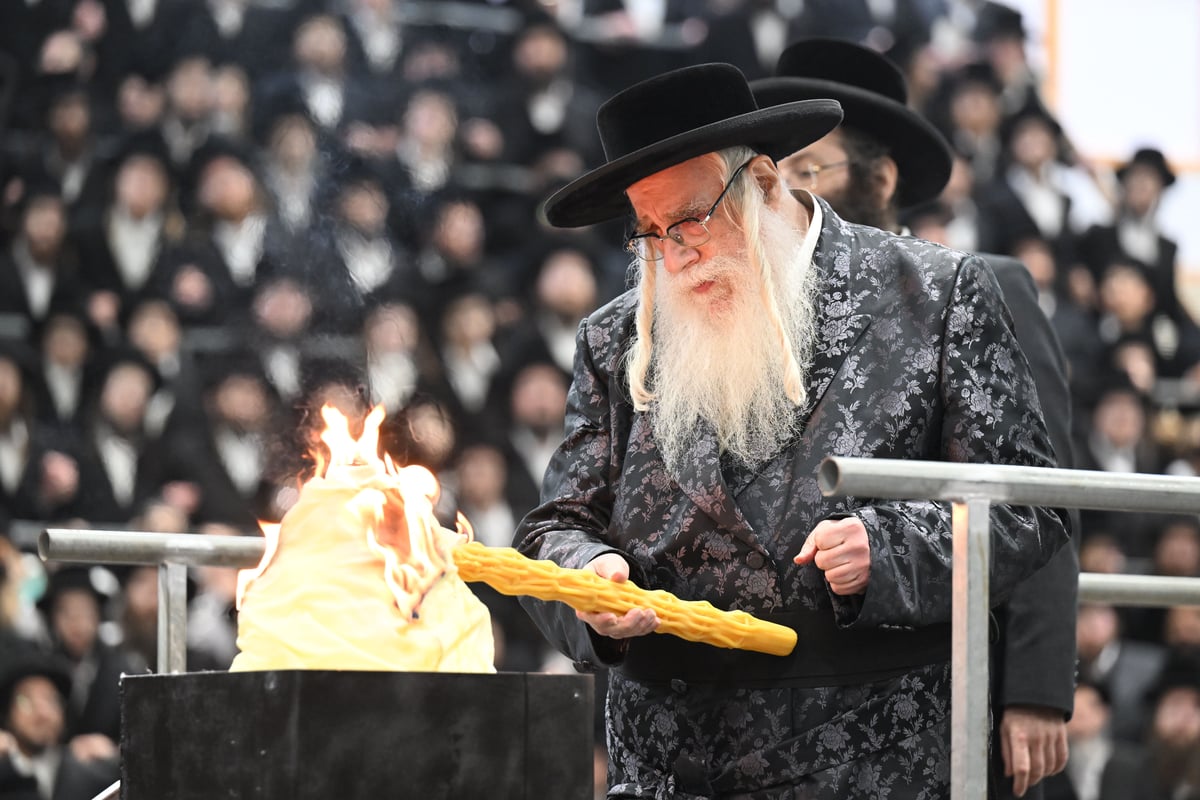 ל"ג בעומר בחצה"ק צאנז