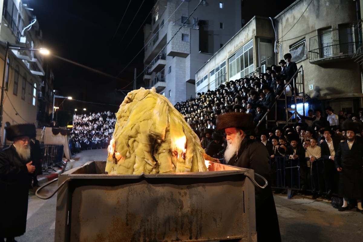 ל"ג בעומר בחצה"ק מכנובקא בעלזא