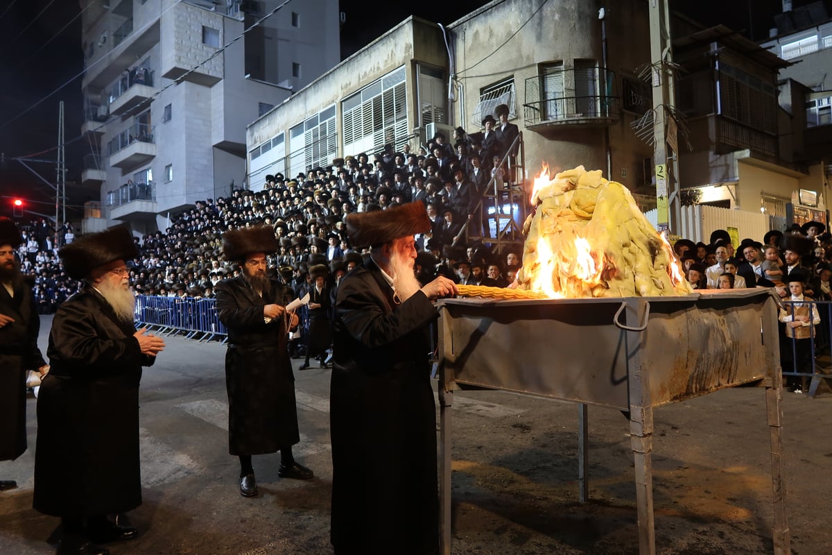 ל"ג בעומר בחצה"ק מכנובקא בעלזא