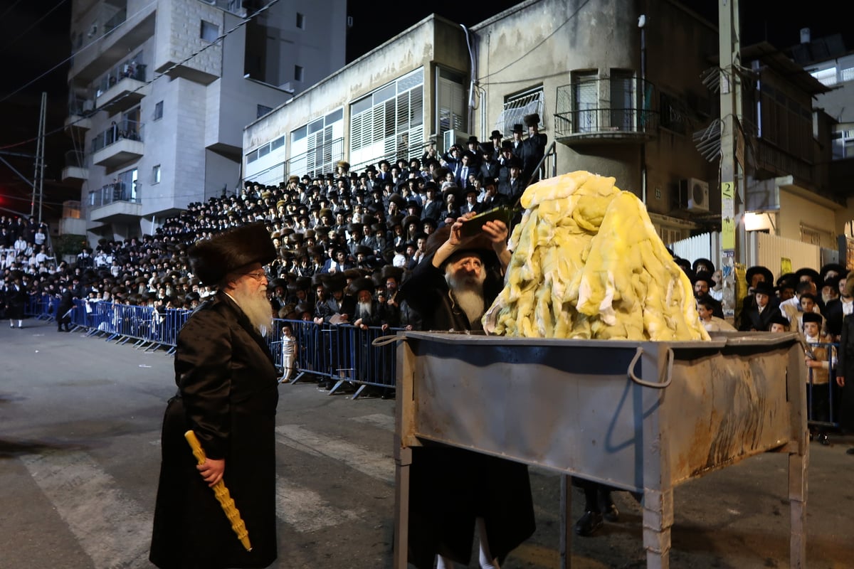 ל"ג בעומר בחצה"ק מכנובקא בעלזא