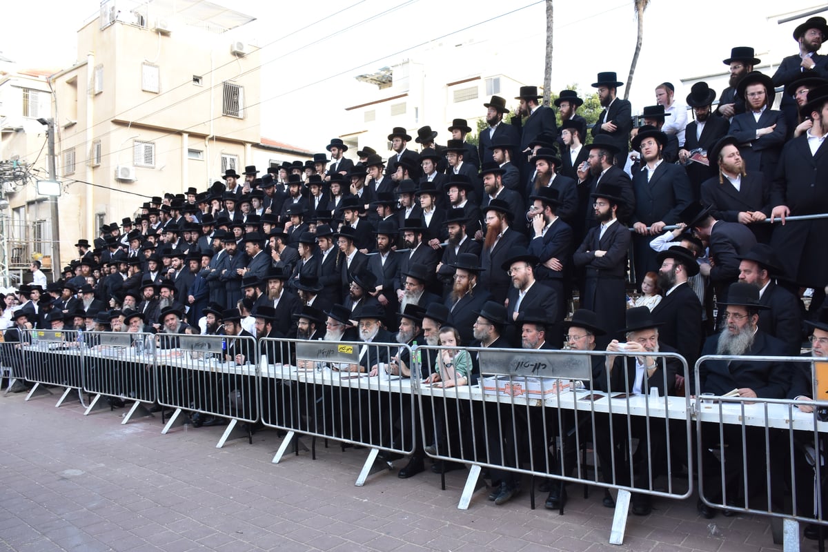 ל"ג בעומר בחצה"ק שבט הלוי