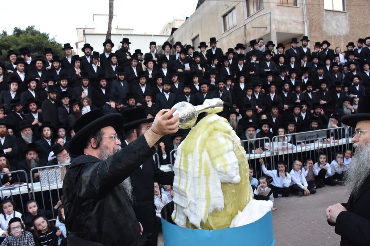 ל"ג בעומר בחצה"ק שבט הלוי