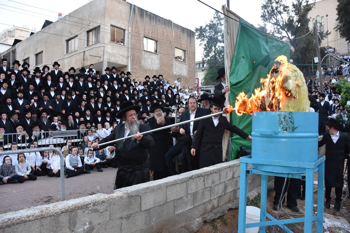 ל"ג בעומר בחצה"ק שבט הלוי