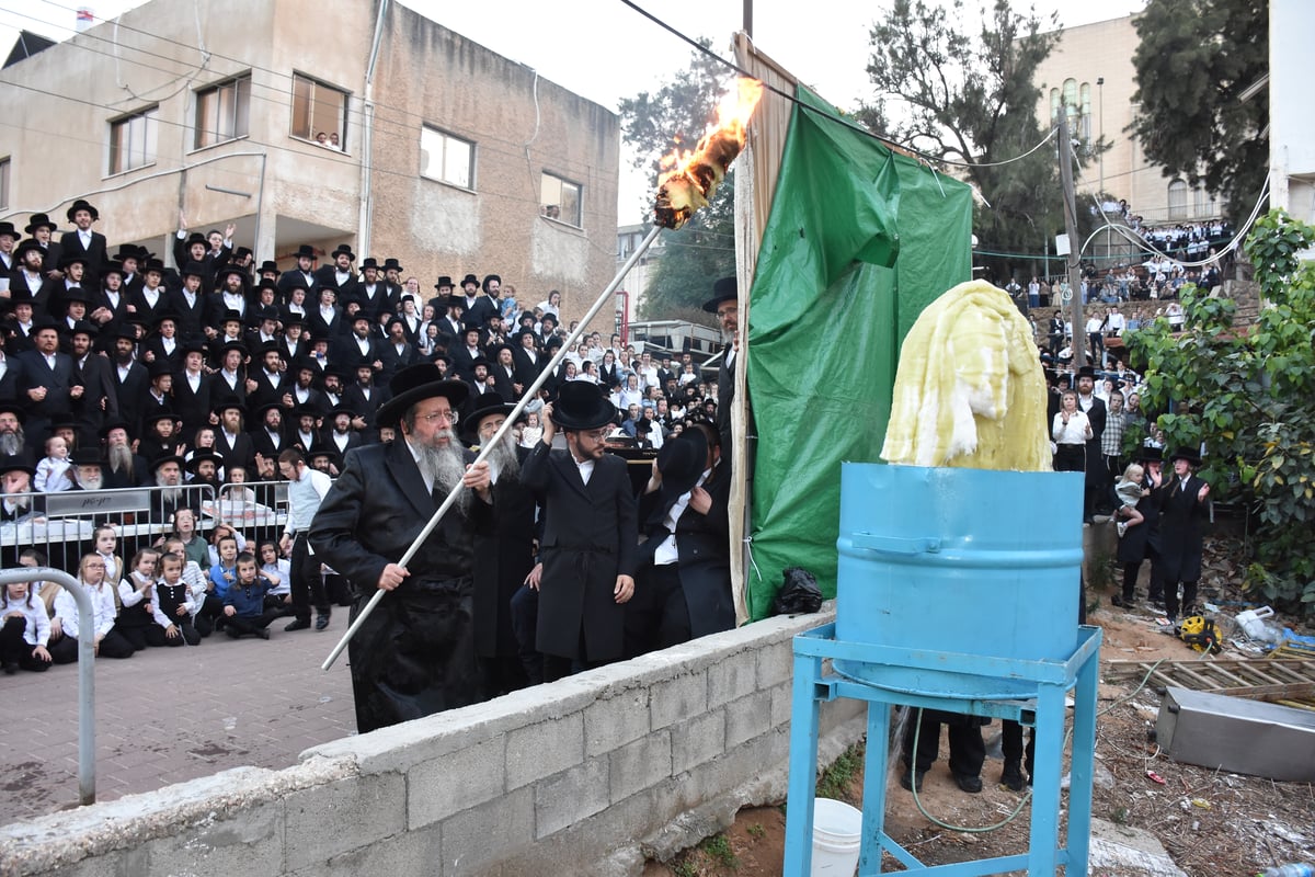 ל"ג בעומר בחצה"ק שבט הלוי