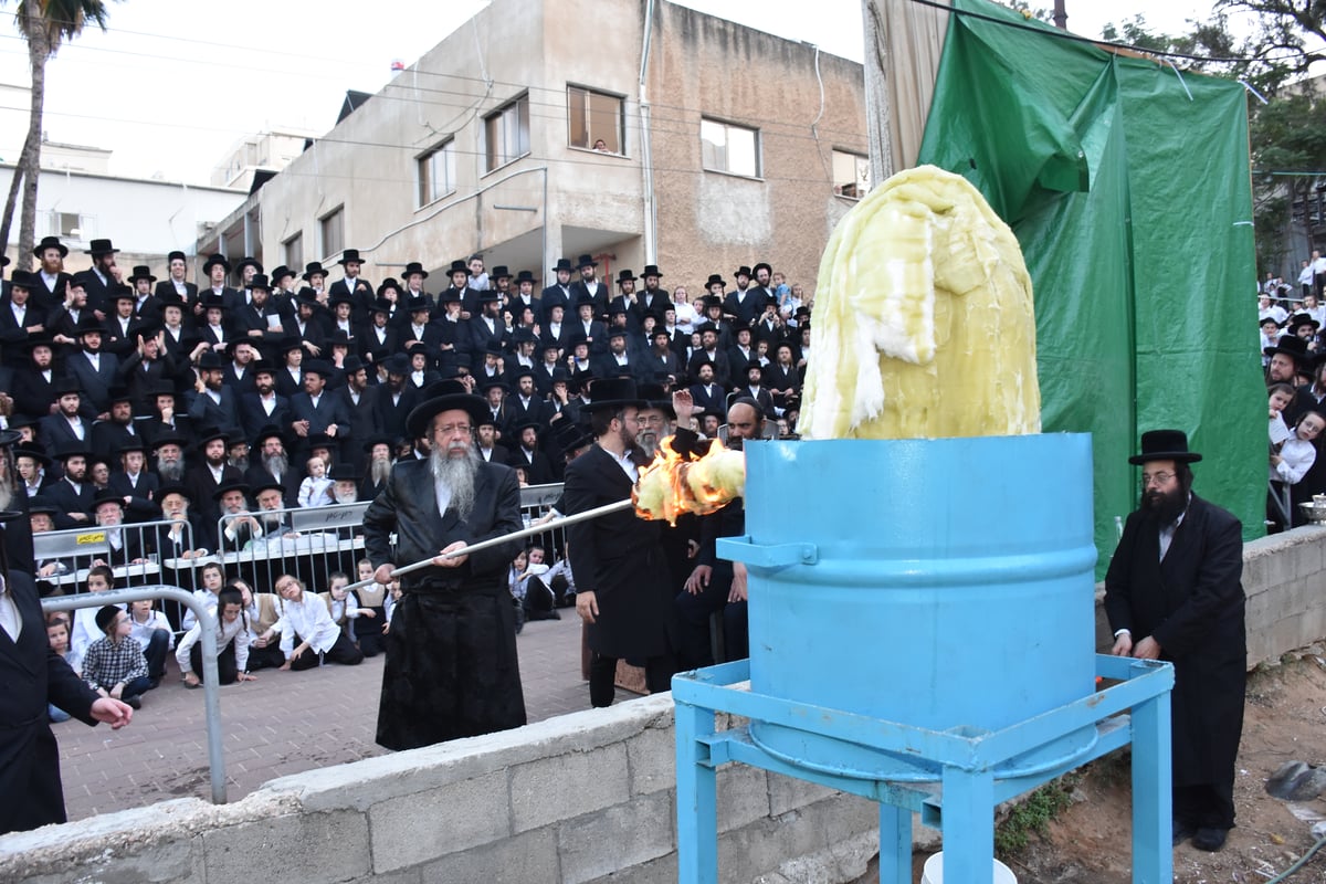 ל"ג בעומר בחצה"ק שבט הלוי