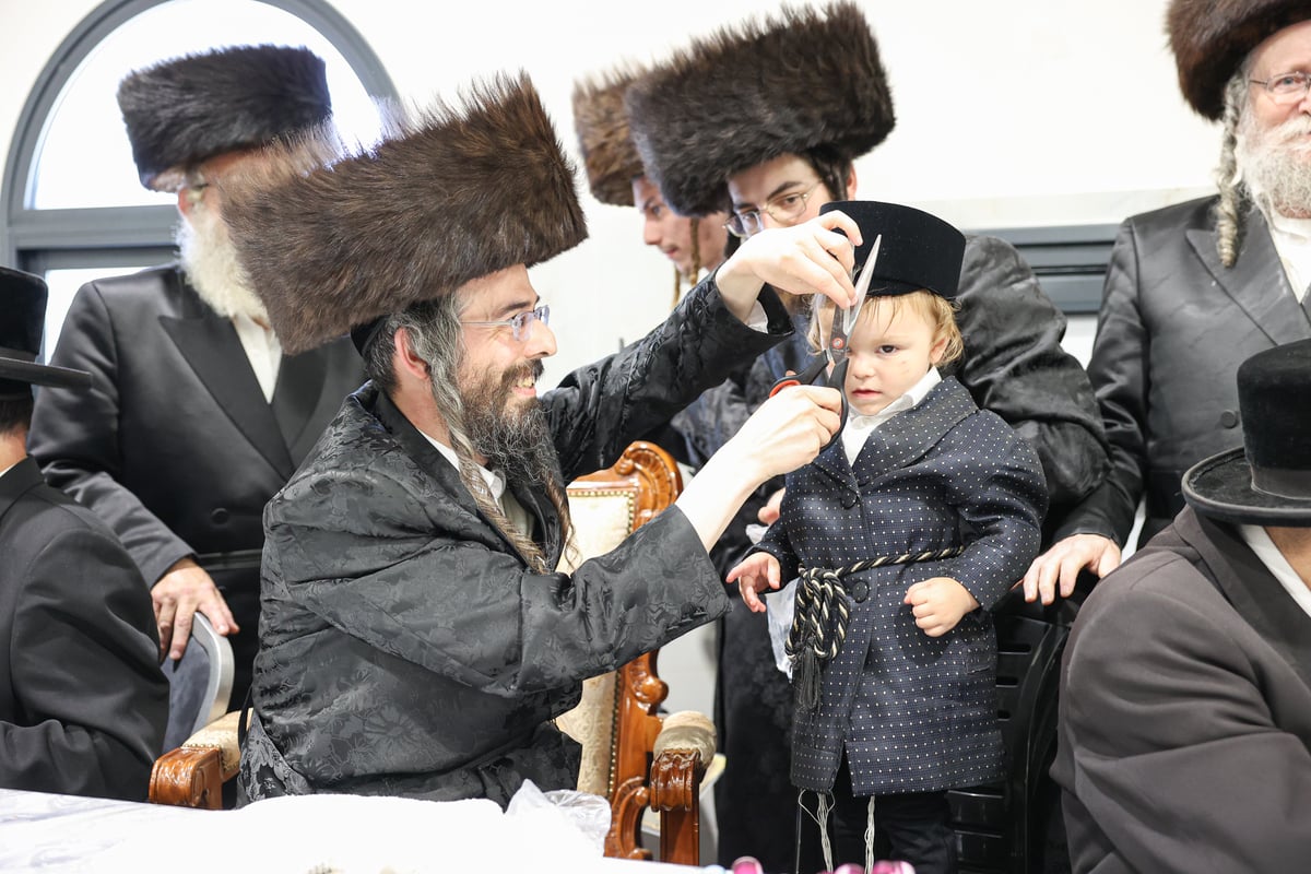 מעמד ה'חלאקה' לבן האדמו"ר מזוויעיהל