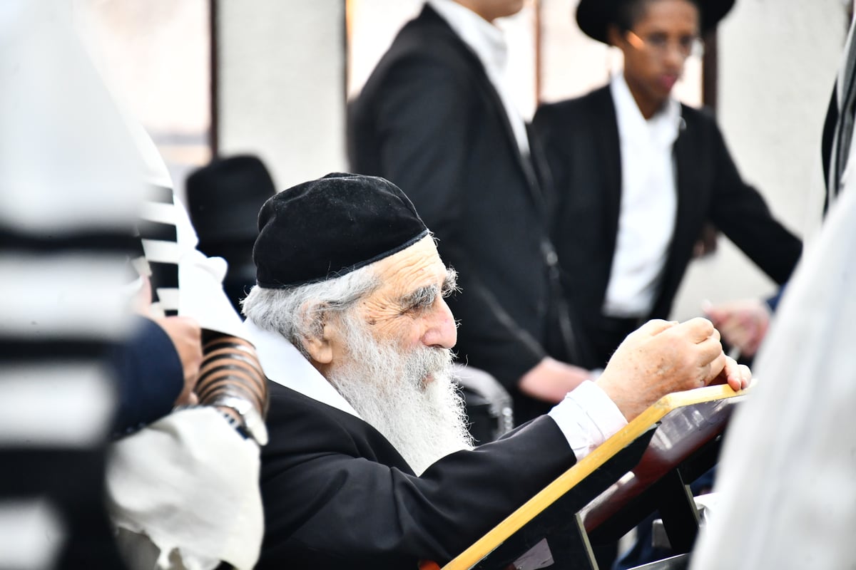 הגר"י זילברשטיין, והגר"ש מחפוד בתפילת השל"ה