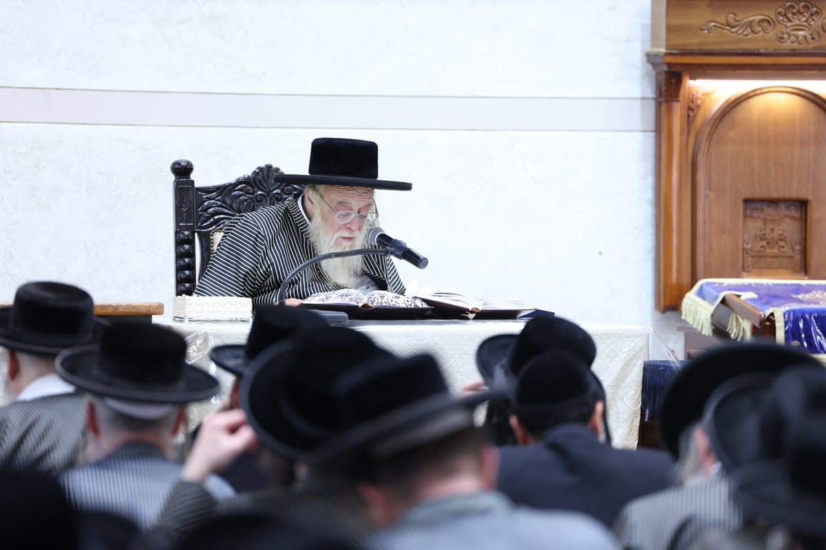 יום שכולו תורה ב'תולדות אהרן'